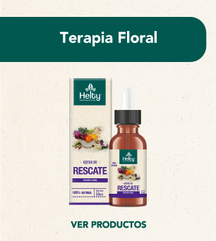 H terapiafloral