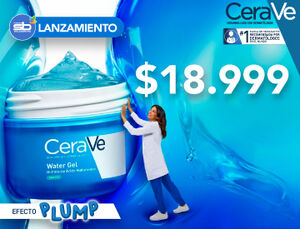 Categoria small %281%29