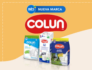 Categoria small colun %281%29
