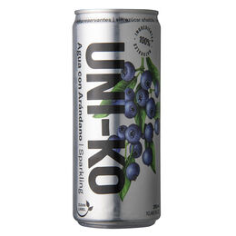 Agua Saborizada Arándano Con Gas 100% Natural 310ml