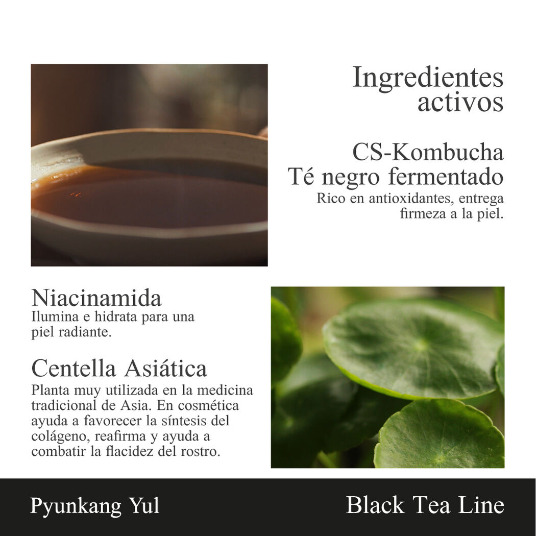 Pyunkang Yul Black Black Tea Time Reverse Eye Cream 25ml