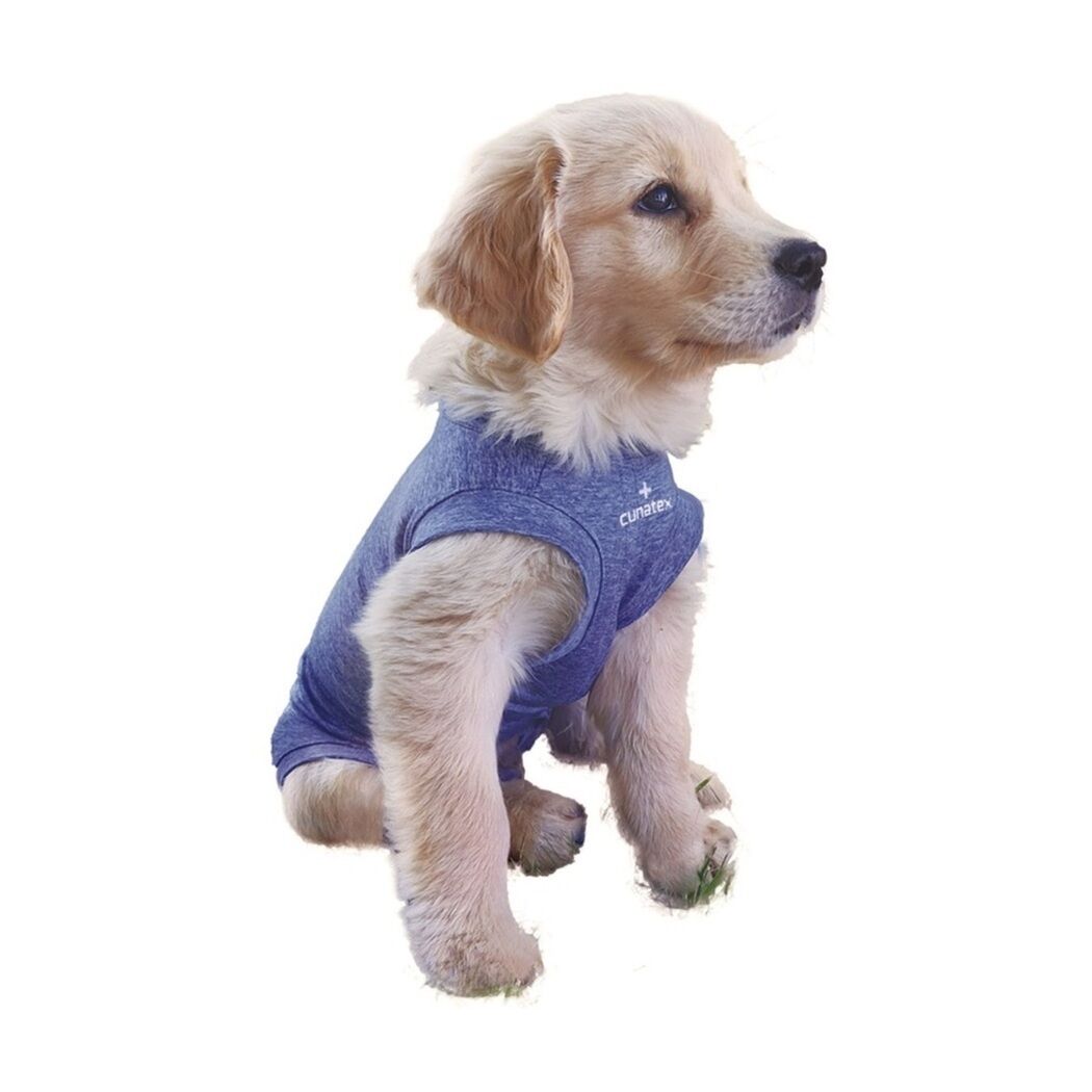 Body Con Cobre Para Perro Talla 1 Azul
