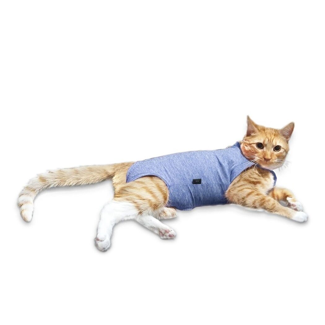 Body Con Cobre Para Gato Talla 2 Azul