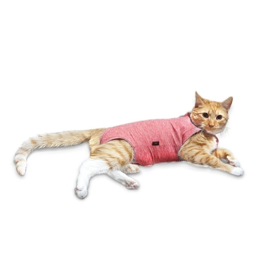Body Con Cobre Para Gato Talla 2 Rojo