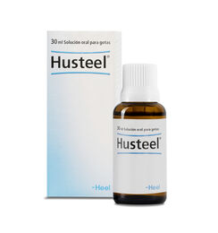 Husteel