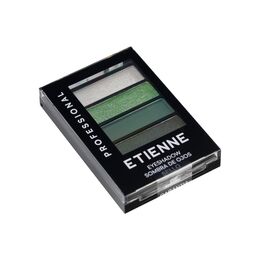 Etienne-paleta-sombras-x4-professional-n05-tonos-green