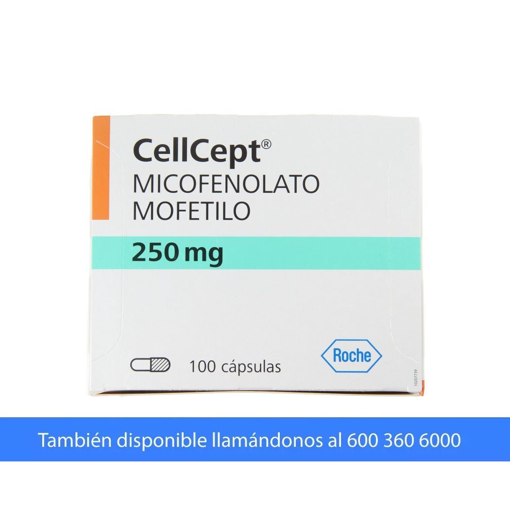 CellCept (R) Micofenolato Mofetilo 250mg 100 Comprimidos Recubiertos