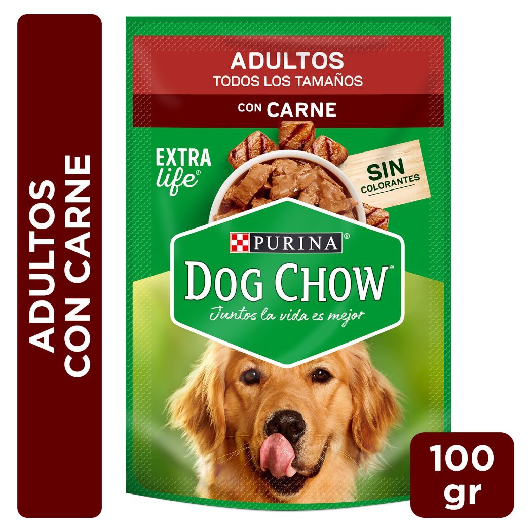 Alimento húmedo perro Dog Chow Carne 100g