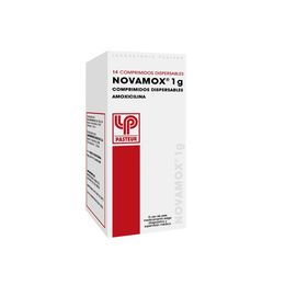 Novamox (B) 1g 14Com. Disp.