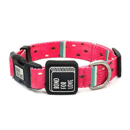 Ispet-collar-mascotas-sandia