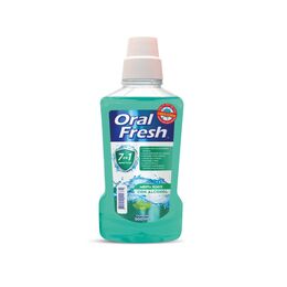Fresh-menta-x500ml