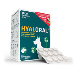 Hyaloral Raza Grande 120 Comprimidos